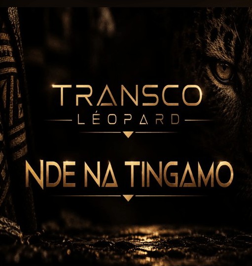 NDE NA TINGAMO